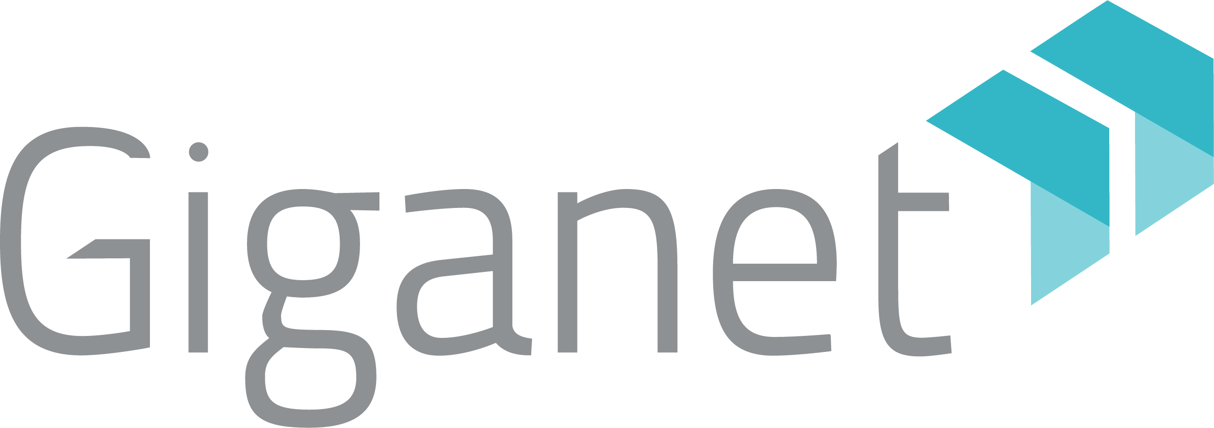 Giganet
